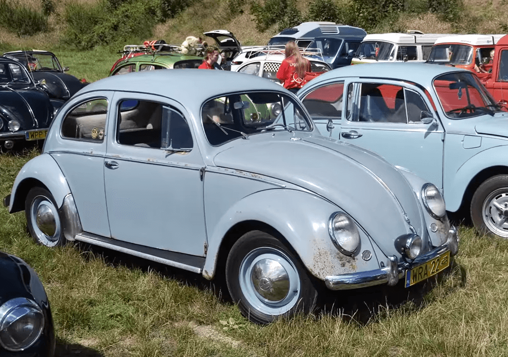 Volkswagen Beetle Oval